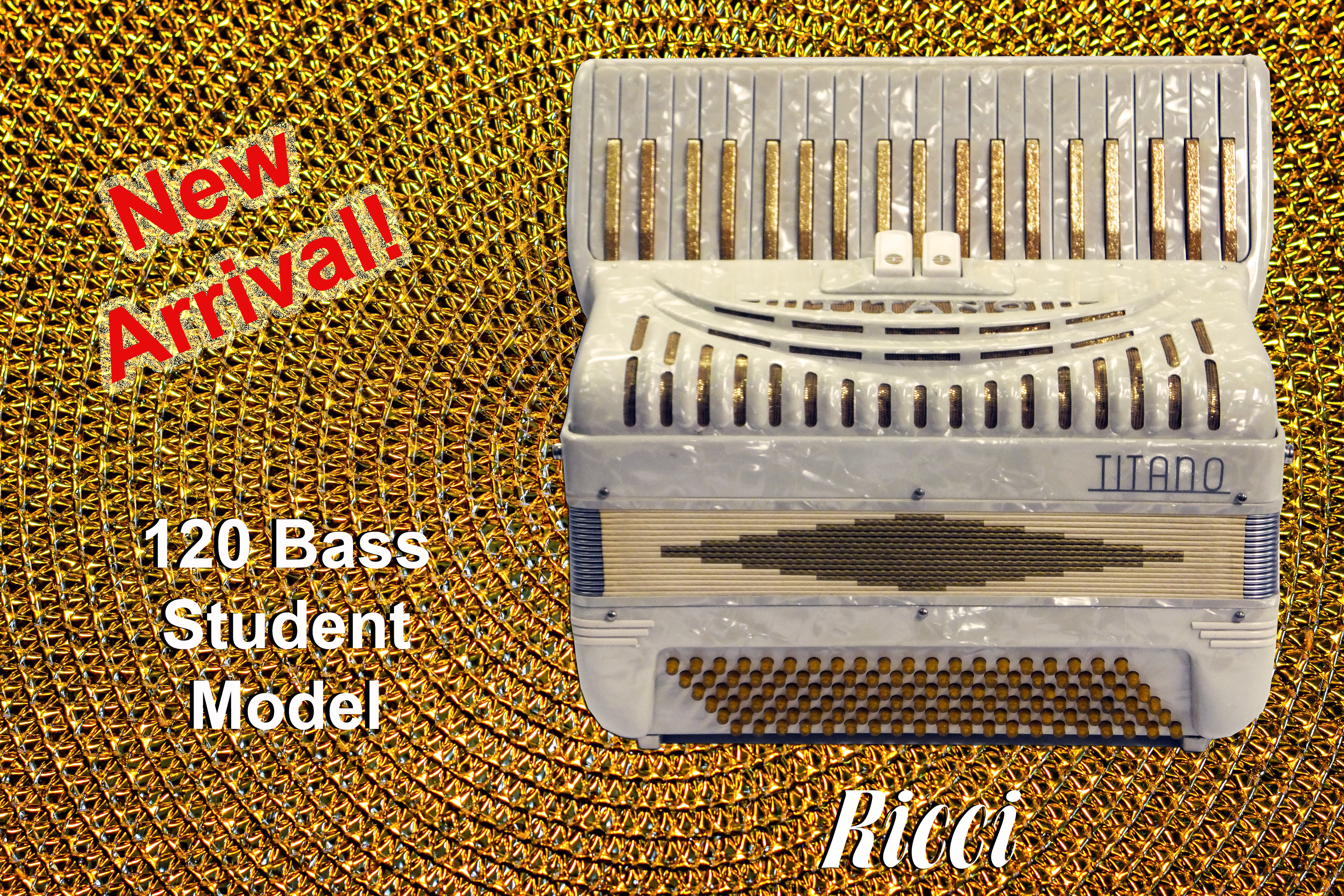 Titano Accordion 120 Bass Student Model Up For Adoption